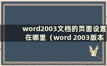 word2003文档的页面设置在哪里（word 2003版本的页面设置在哪里）